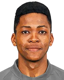 Andile Mokgakane