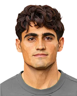 Ubaid Shah